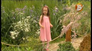 Cântec Surioara mea