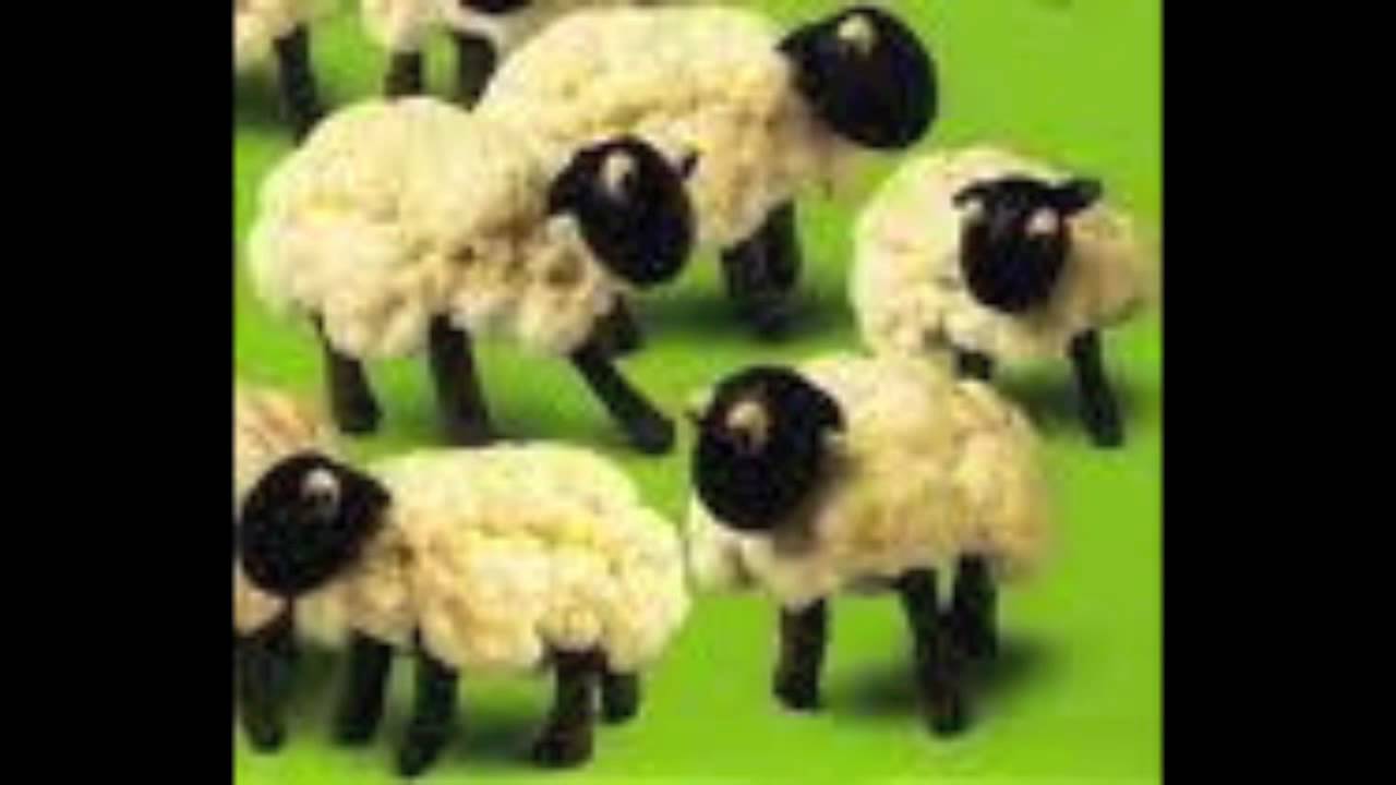 Învață legumele în engleză