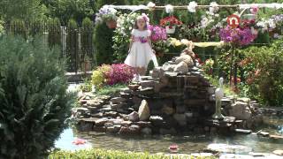 Cântec -Multe flori