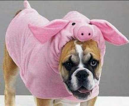 Cleopatra Stratan -Cântec cuțu