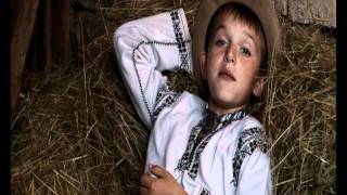 Cântec Gospodarul din Ardeal