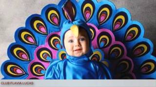 Cântec- Ceata lui Pițigoi