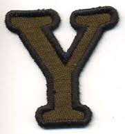 Ghicitori cu litera Y