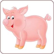 Povestea -Porcul cel fermecat