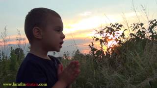 Poezia -Plecăciune - Cezar Stratan