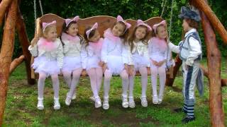 Lollipops -Cantec Miau