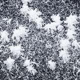 Fulgul de zăpadă- poezie de Constantin Radeș