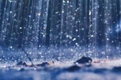 Cântec Ploaia pic, pic, pic