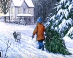 Poezia -Bradulet, bradut, dragut