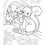 26