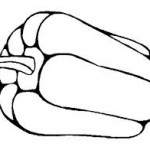 48