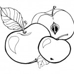 fructe toamna mere planse de desenat