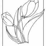 34