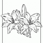 36
