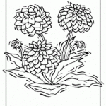 40