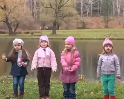 Cade frunza - Licuricii