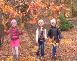 Vals de toamnă - Licuricii