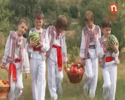 Toamna harnică și darnică