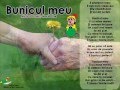Bunicul meu -Laura Zega