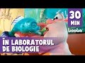 Booba în laboratorul de biologie - Desene animate