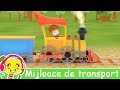 Mijloace De Transport