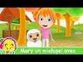 Mary Un Mielușel Avea
