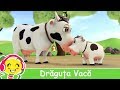Drăguța Vacă