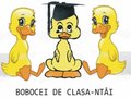 Bobocei de clasa-ntâi