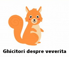 Ghicitori despre veveriţă