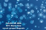Fulgii de nea