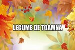 Legume de toamnă