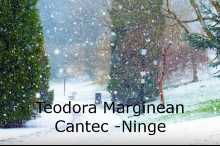 Teodora Mărginean - Ninge