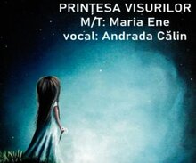 Prinţesa visurilor - Andrada Călin
