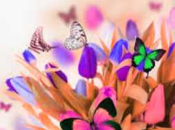 Ghicitori despre flori de primăvară