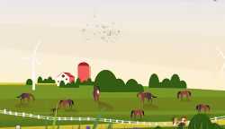 Animăluțele din curte