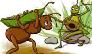 greierele si furnica