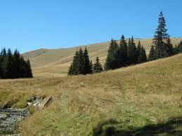 Printre munţi şi printre văi