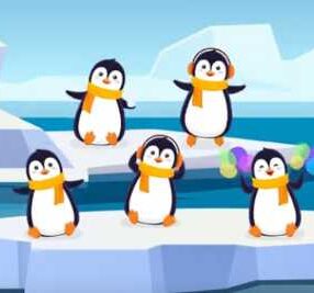Pinguini Pe Gheață