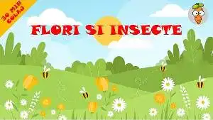 colaj cu cantece despre flori si insecte de primavara