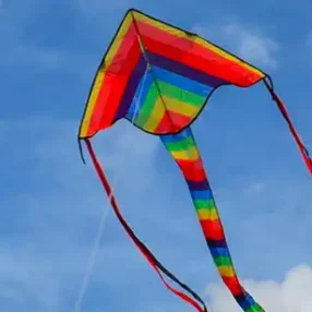 Ghicitori despre zmeu