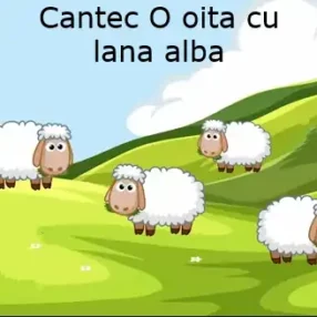 O Oiță Cu Lână Albă