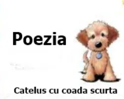 Cățeluș cu coada scurtă - poezii pentru copii de grădiniță