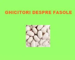 Ghicitori despre fasole
